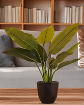 Alamkari India Fabric Artificial Potted Banana Plant (50 cm)