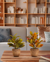 Alamkari India Fabric Artificial Potted Croton Plants (30 cm, Set of 2)