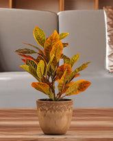 Alamkari India Fabric Artificial Potted Croton Plants (Multicolored, 30 cm, Set of 2)