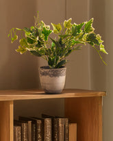 Alamkari India Fabric Artificial Potted Green Bush (50 cm)