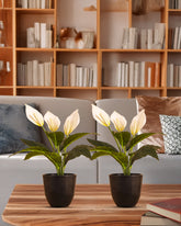 Alamkari India Fabric Artificial Potted Peace Lily Plant (40 cms, Set of 2)