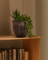 Alamkari India Fabric Artificial Potted Succulent (20 cm)