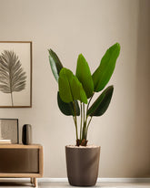 Alamkari India Fabric & Plastic Artificial Banana Plant in Black Pot (120 cm)