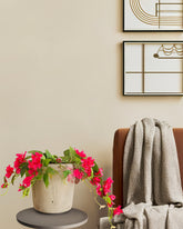 Alamkari India Fabric & Plastic Artificial Bougainvillea Flower Potted Plant (50 cm)