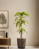 Alamkari India Fabric & Plastic Artificial Dracaena Plant in Black Pot (120 cm)