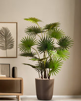 Alamkari India Fabric & Plastic Artificial Fan Palm in Black Pot (120 cm)