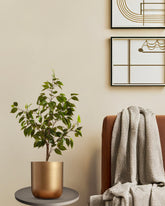 Alamkari India Fabric & Plastic Artificial Ficus Plant in Black Pot (90 cm)