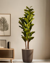 Alamkari India Fabric & Plastic Artificial Fiddle Leaf Fig Plant in Black Pot (140 cm)