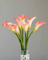 Alamkari India Polyurethane Artificial Calla Lily Flower Sticks (5 Sticks, 70 cm, Pink)