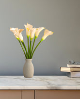 Alamkari India Polyurethane Artificial Calla Lily Flower Sticks (5 Sticks, 70 cm, White)