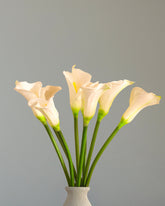 Alamkari India Polyurethane Artificial Calla Lily Flower Sticks (5 Sticks, 70 cm, White)