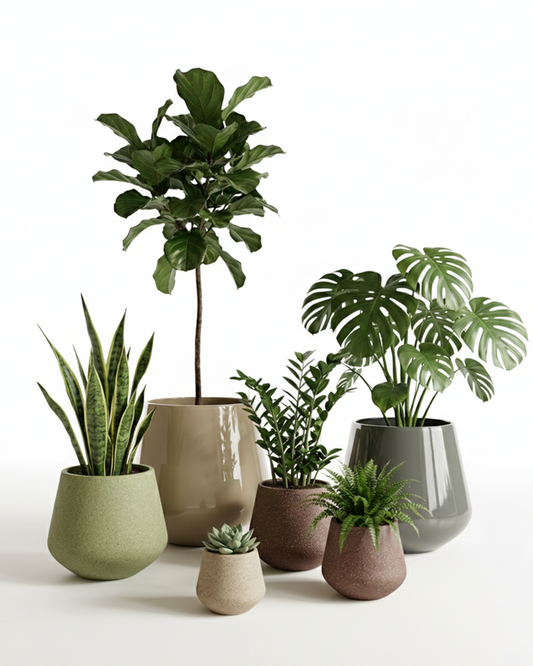 10 Best Artificial Plants for Home Decoration in India