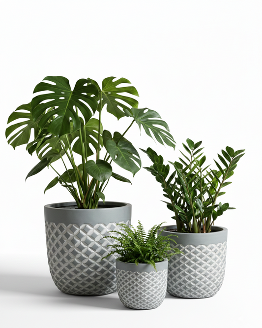 Small Artificial Plants for Office Desk India