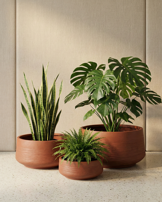 Small Artificial Plants