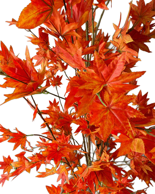 Which Artificial Plant Is Good for Home as per Vastu?