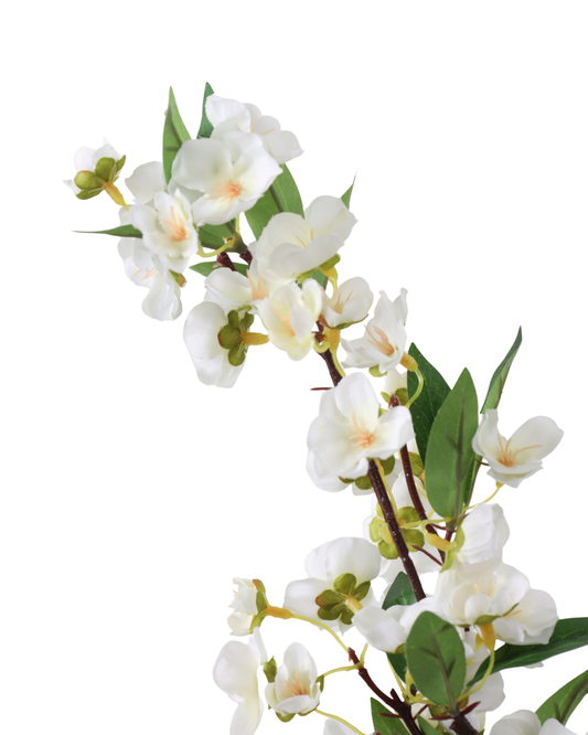 What Are the Most Realistic Looking Fake Plants? 