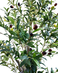 Artificial Olive Tree 180cm (5.9ft)