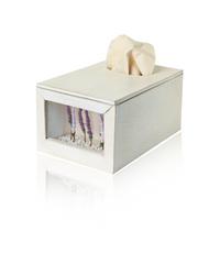 Purple Haze Tissue Box