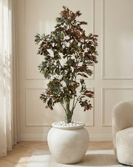 Artificial Burgundy Ficus Tree 205cm (6.7ft)