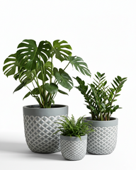 Vanila Fiberglass Round Planter – Textured Grey Finish