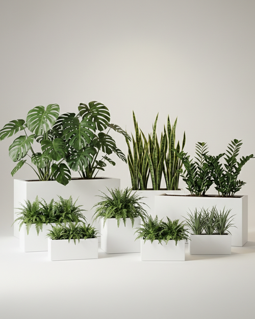 Rectangle Fiberglass Planter – Matte White