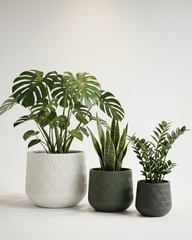 Flower Textured Fiberglass Planter – Geometric Finish