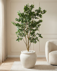 Artificial Premium Ficus Tree 215cm (7.1ft)