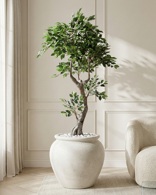 Artificial Elegant Ficus Tree 190cm (6.2ft)