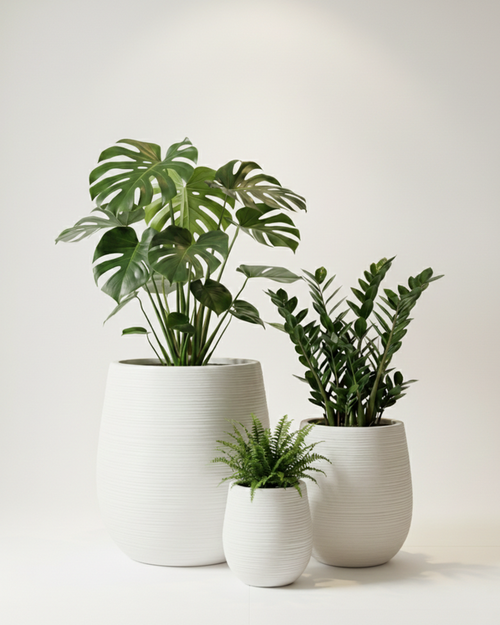 Silk Textured Fiberglass Planter – White
