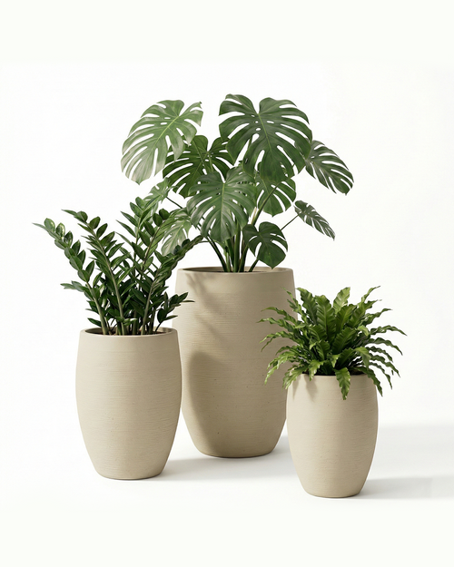 Voilet Fiberglass Planter – Beige