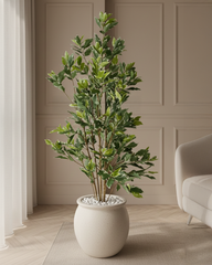 Artificial Compact Ficus Tree 150cm (5ft)