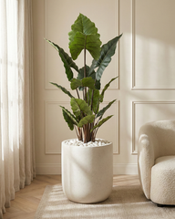 Artificial Alocasia Leaf Plant 180cm (5.9ft)