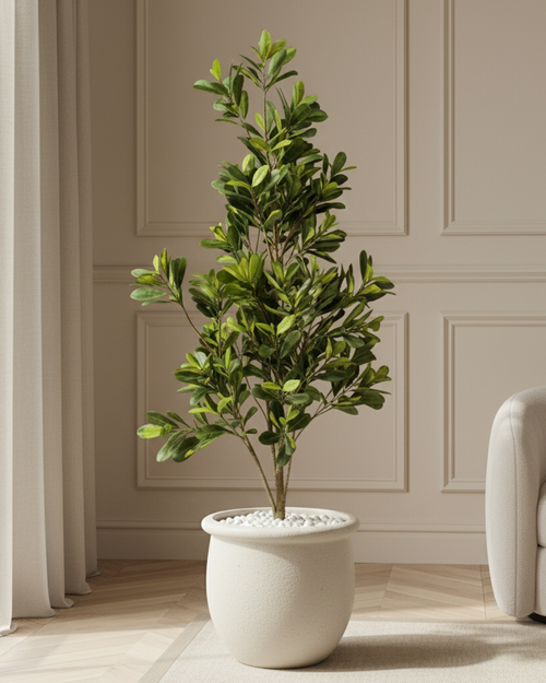 Artificial Compact Ficus Tree 150cm (5ft)