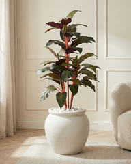 Artificial Aglaonema Color Plant 130cm (4.3ft)