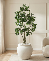 Artificial Natural Ficus Tree 205cm (6.7ft)