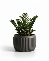 Orchid – D Fiberglass Round Planter – Grey | Modern Ribbed Design