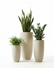 Small Shark Fiberglass Planter – Off White