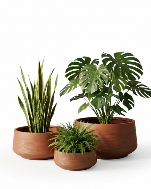 Oak Fiberglass Planter – Terracotta Matt Finish