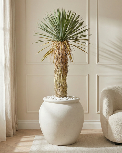 Artificial Desert Yucca Tree 160cm (5.3ft)