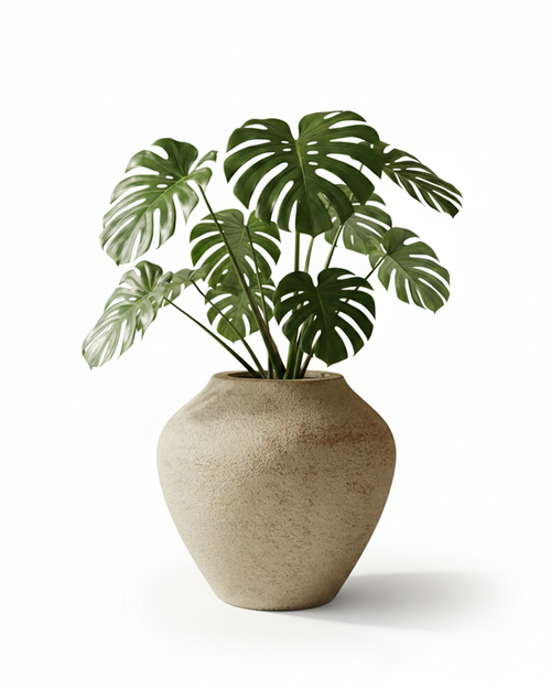 Mallow Fiberglass Planter – Rust Finish