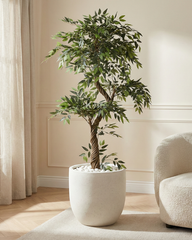 Artificial Ficus Twist Tree 200cm (6.6ft)