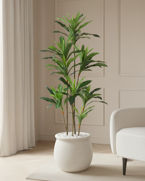 Artificial Dracaena Green Tree 220cm (7.2ft)