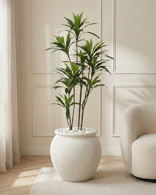 Artificial Dracaena Color Tree 170cm (5.6ft)