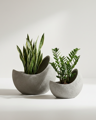 Eggo Fiberglass Planter – Sculptural Stone Finish