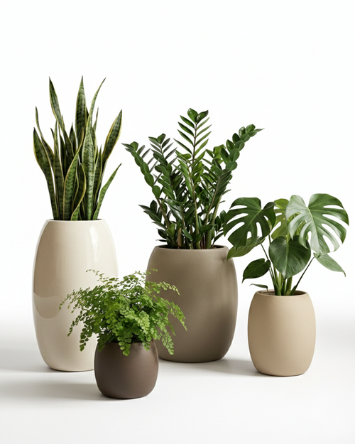 Lilly Fiberglass Planter – Soft Curved Modern Finish