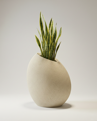 Patato-C Fiberglass Planter – Oyster White | Sculptural Vertical Form