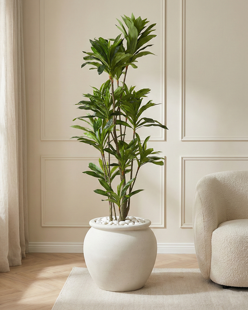 Artificial Dracaena Green Tree 300cm (9.8ft)