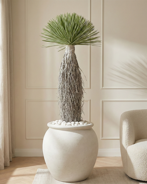 Artificial Hanging Grass Tree 150cm (5ft, 6ft, 7ft)