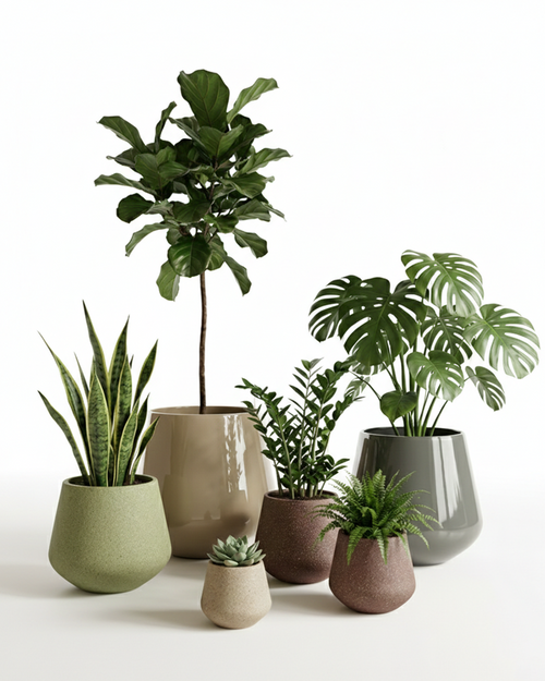Star Fiberglass Planter – Modern Neutral Finish