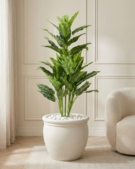 Artificial Aglaonema Color Plant 130cm (4.3ft)